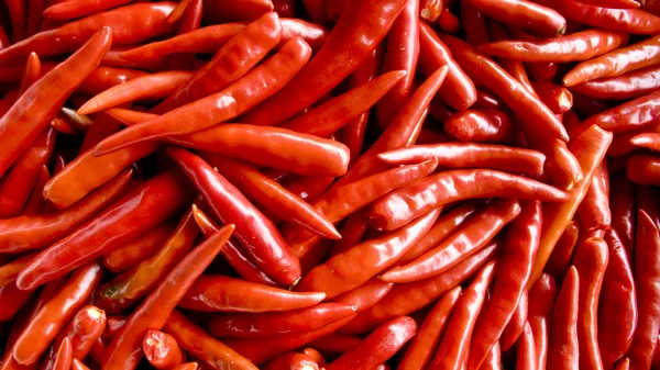 Hot pepper Stock Image
