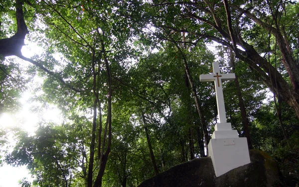 Croce solitaria nella foresta Foto Stock