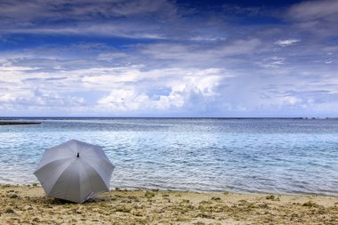 Umbrella by the beach clipart