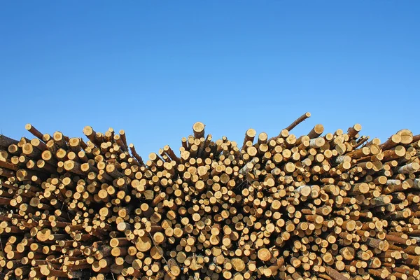 La madera cortada — Foto de Stock