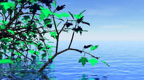 Maple tree and beautiful water — Stock Photo, Image