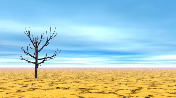 Halott fa sivatagban — Stock Fotó