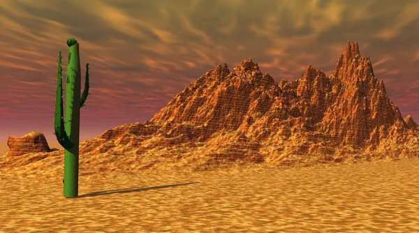 Кактус в пустыне — стоковое фото