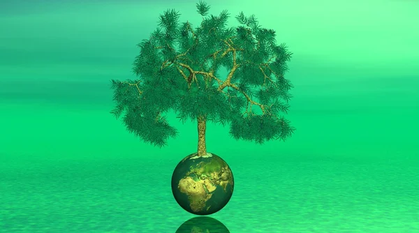 Дерево на земле на зеленом фоне — стоковое фото