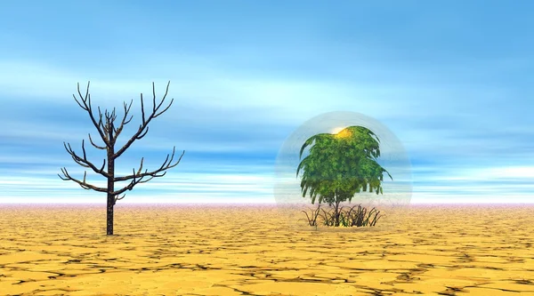 在沙漠中死了和活着的树木 — 图库照片