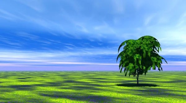Дерево в зеленой траве — стоковое фото