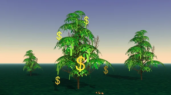 Доллары, растущие на дереве — стоковое фото