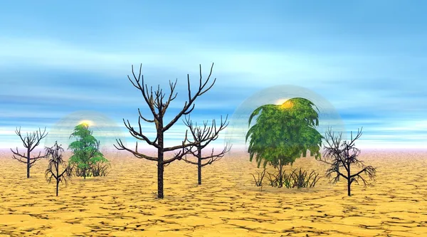 Çölde ölü ve canlı ağaçlar — Stok fotoğraf