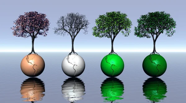 Quatro árvores coloridas e terra na água — Fotografia de Stock