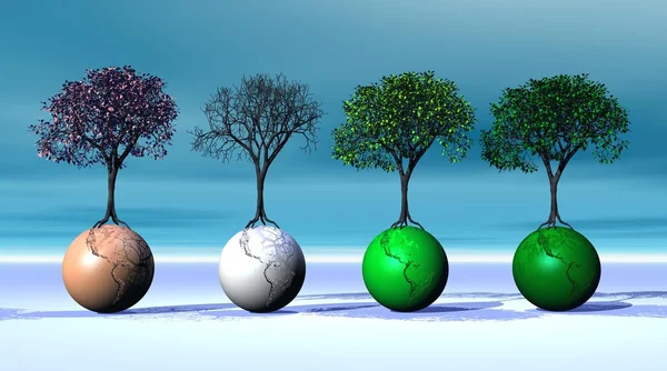 Four seasonal trees on four earth — Stock Photo, Image