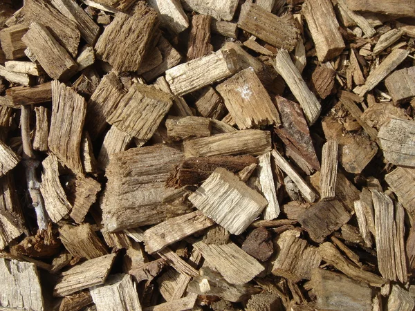 Aparas de madeira — Fotografia de Stock