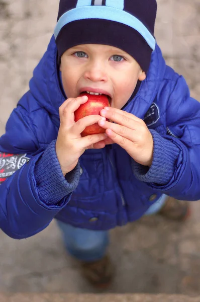사과 먹는 소년 스톡 이미지