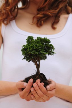 Woman holding a small tree in her hands clipart