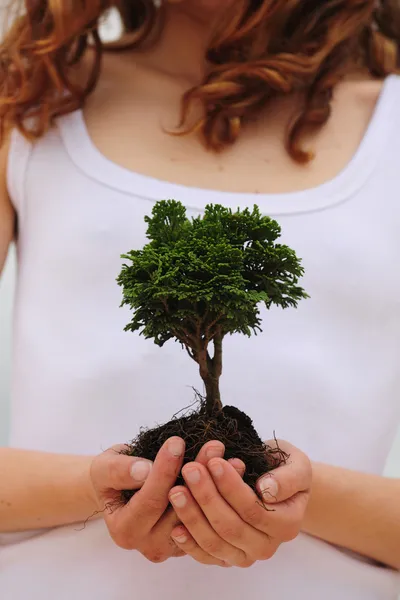 Kvinna som håller ett litet träd i sina händer — Stockfoto