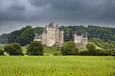 Chateau de Montpoupon, France clipart