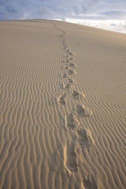 Dune du Pilat clipart