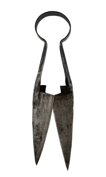 Ancient spring scissors — Stock Photo, Image