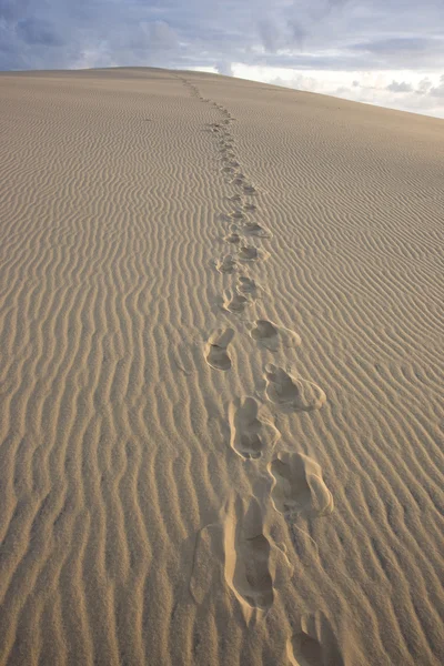 Stock image Dune du Pilat