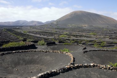 lanzarote bağ