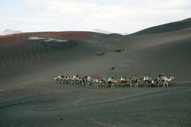 lanzarote, deveye binmek