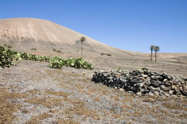 Arid landscape in Lanzarote — Stock Photo, Image