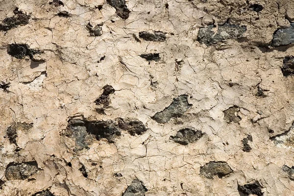 나이 든된 소박한 벽 — 스톡 사진