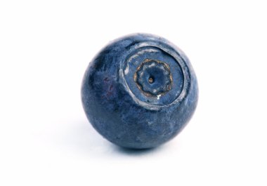 One blueberry clipart