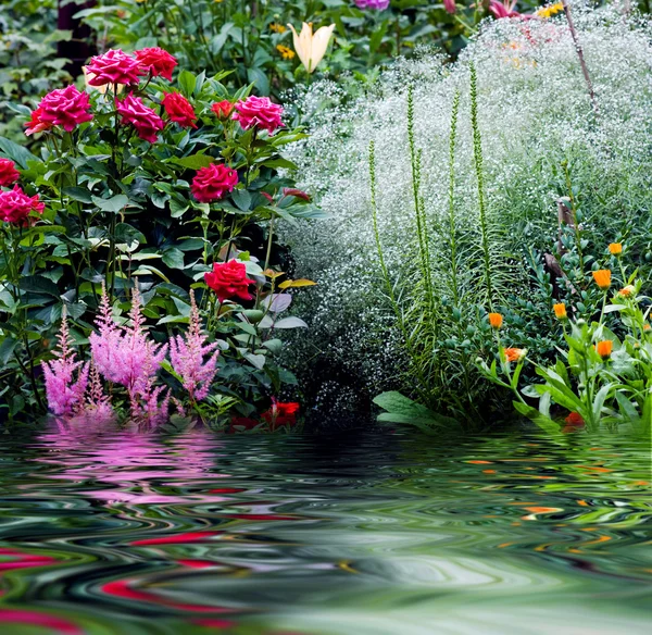 Nature garden reflected in the water — Stock Photo, Image