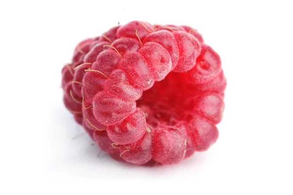 One raspberry — Stock Photo, Image