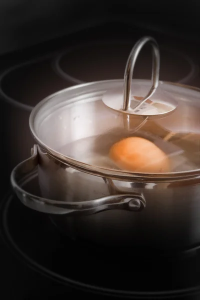 Яйцо кастрюли — стоковое фото