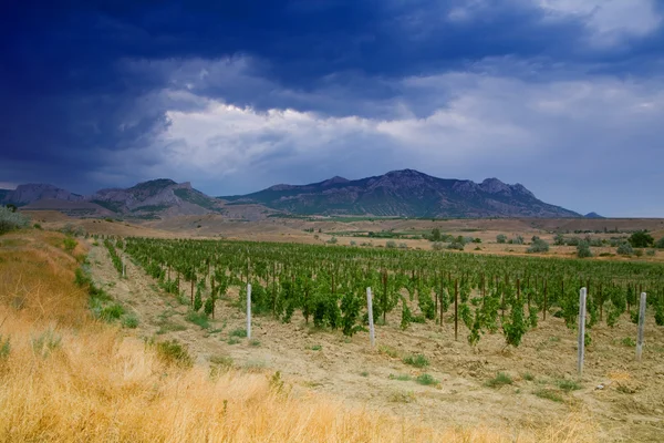 stock image Storm vinery