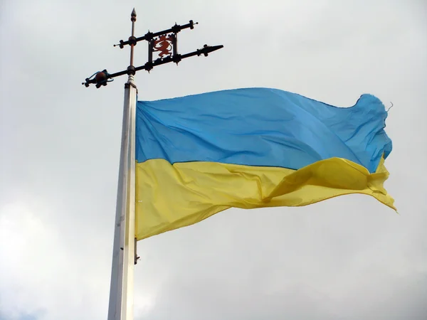 Bandeira da Ucrânia Fotografia De Stock