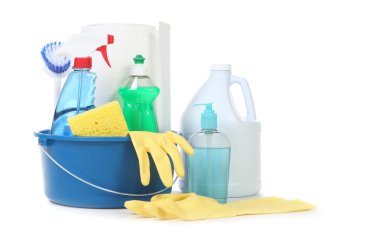 Many Useful Household Daily Cleaning Pro clipart