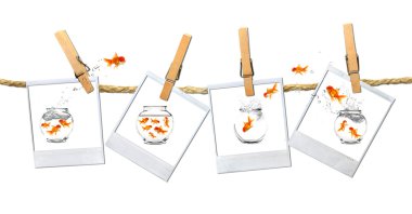 Humous Image of Goldfish Jumping Around clipart