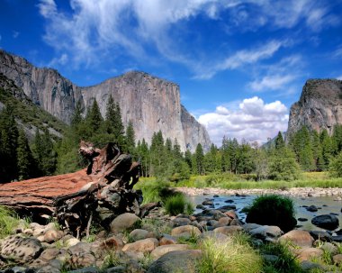 El Capitan View in Yosemite Nation Park clipart