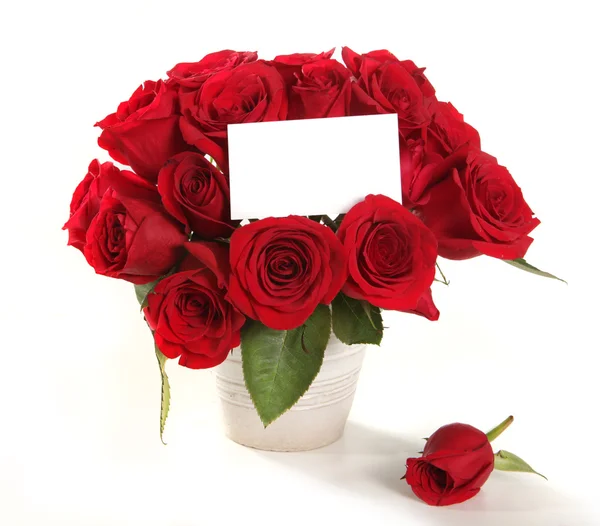 Róże w garnku z pustą wiadomość znak f — Zdjęcie stockowe