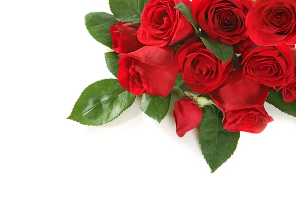 Τριαντάφυλλα με αντίγραφο χώρο για το κείμενό σας — Φωτογραφία Αρχείου