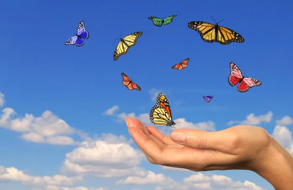 Hand hält losgelassene Schmetterlinge — Stockfoto