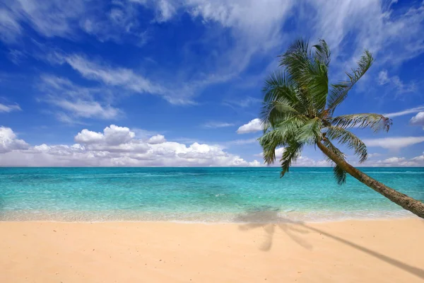 凫蓝色水域的夏威夷群岛 — 图库照片