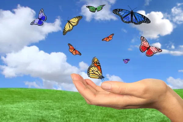 Güzel kelebekler özgürce dalgalansın — Stok fotoğraf