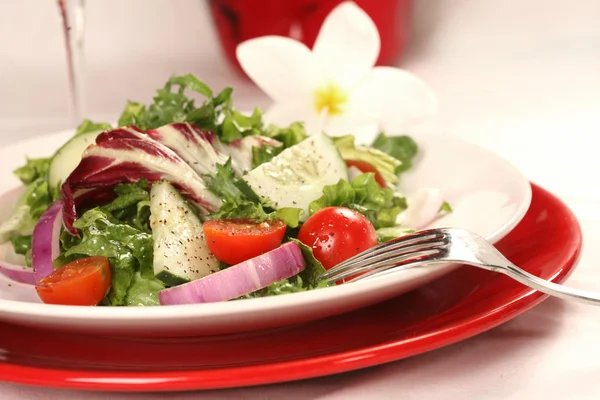 stock image Healthy Salad on a Red Plate