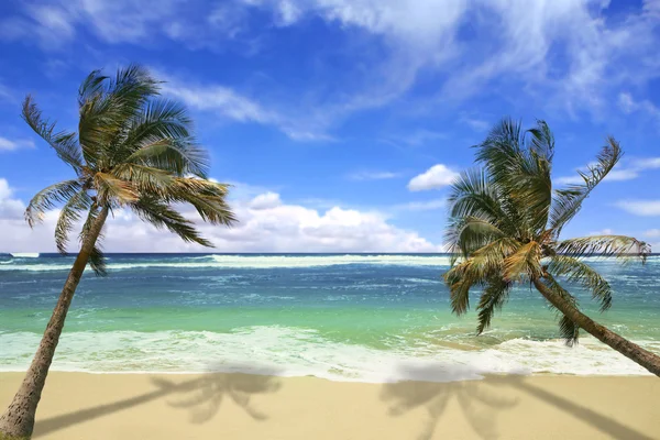Ostrov pardise pláži na Havaji — Stock fotografie