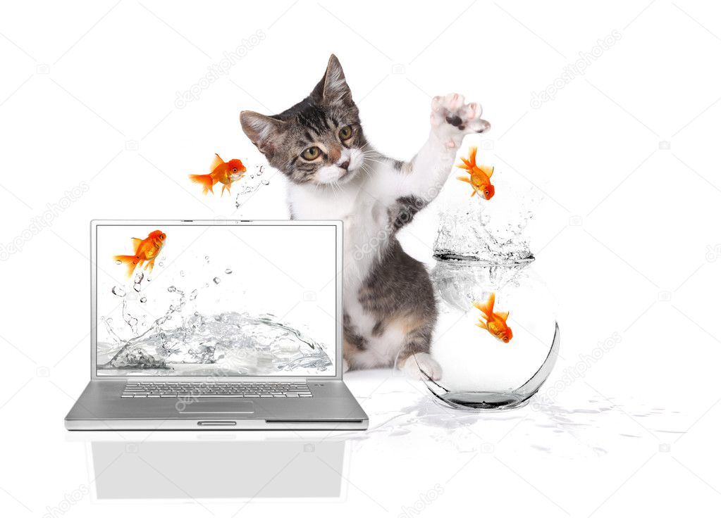 Kitten Pawing at Gold Fish Jumping out o