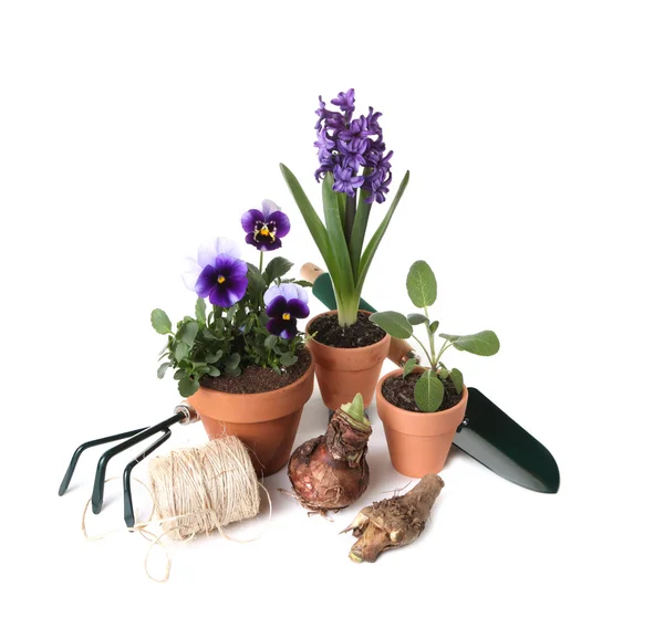 Essenciais de jardinagem com plantas e demasiado — Fotografia de Stock