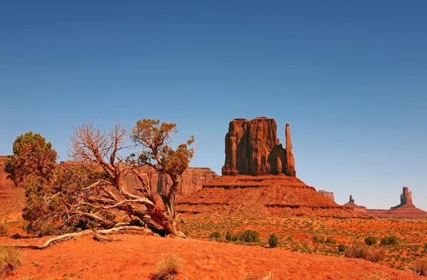 Krajobraz monument valley navajo nati — Zdjęcie stockowe