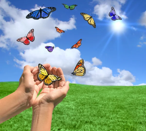 Kelebekler ile mutlu parlak manzara — Stok fotoğraf