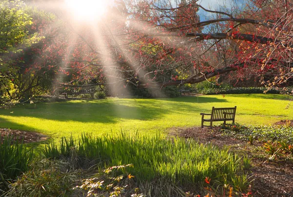 Bench in the park at Sunset — Stock Photo, Image