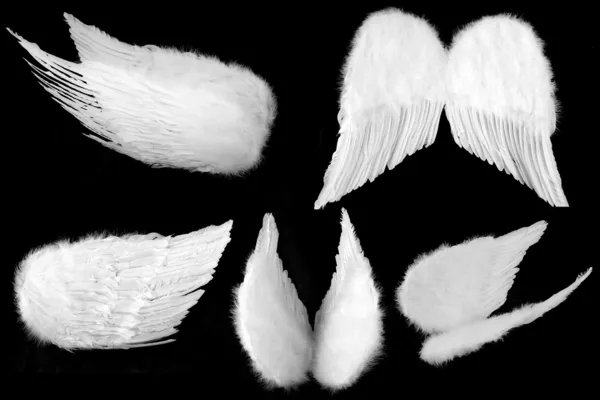 De nombreux angles d'ailes d'ange gardien Isol — Photo