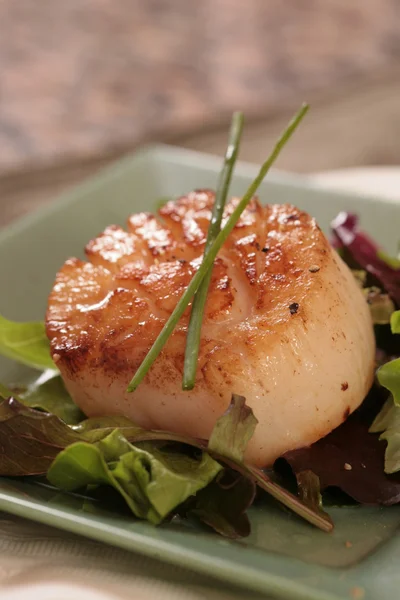 stock image Scallop on a Green Plate Dressed With Ch