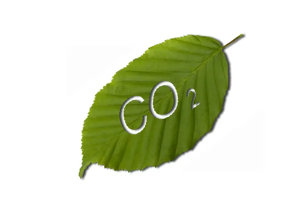 Dióxido de carbono Imagen de stock